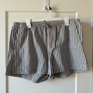 Blue & Brown Striped Shorts